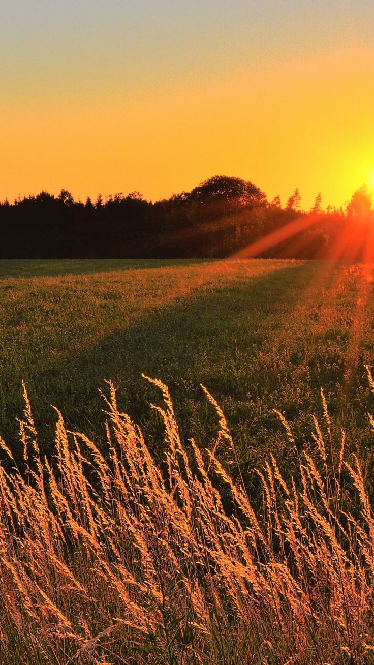 Soleil d'Automne